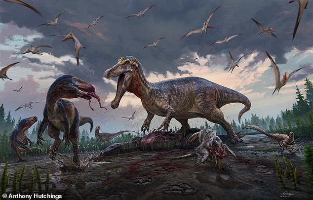 An amateur dinosaur hunter has made a stunning discovery that proves the south coast of England was home to a wide variety of predators, including a relative of the Tyrannosaurus Rex