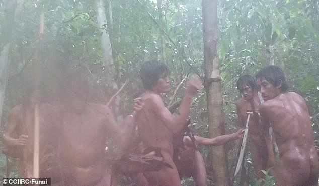 The footage, taken with automatic cameras, appears to show the Massaco tribe arming themselves with machetes and axes left behind by Brazil's National Indigenous Peoples Foundation (Funai).