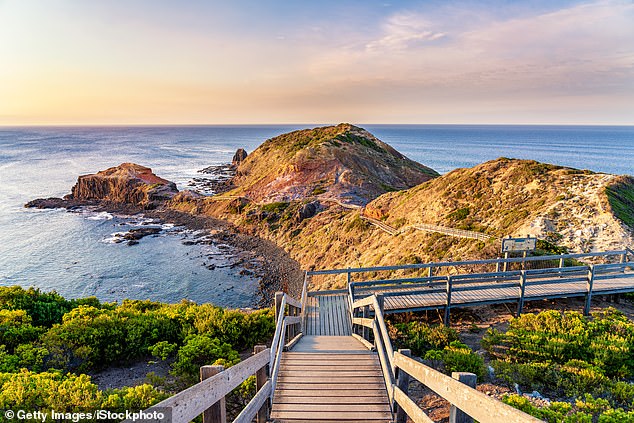 About 50,000 properties offering short-term accommodation in Victoria will be hit with the tax from New Year's Day (pictured, Mornington Peninsula)