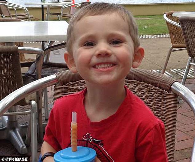 William Tyrrell (pictured) was last seen at his foster grandmother's home in Kendall on September 12, 2014