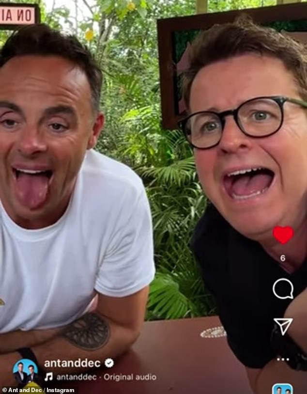 Declan Donnelly has revealed he needed medical attention after being bitten by a spider on the set of I'm A Celebrity (pictured with co-host Ant McPartlin)