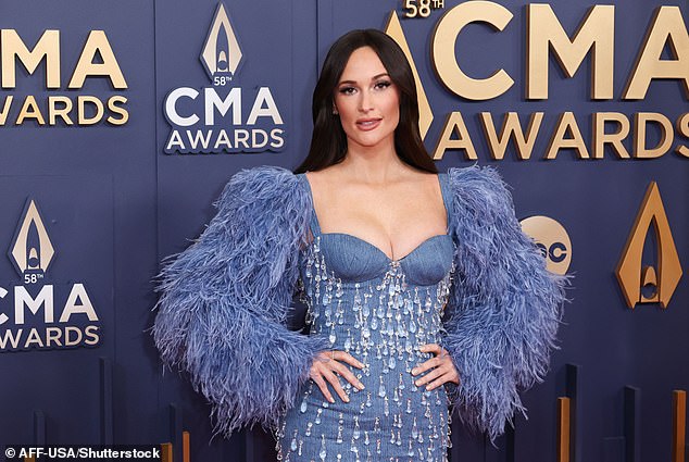 The alleged fan who pulled Kacey Musgraves (pictured November 20) by her hair during her concert in Tampa, FL last Friday has broken her silence on Facebook