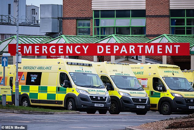 Ambulances waited a total of around 15 years for patients to be admitted to hospital in the first two weeks of winter – an increase from 10.5 years last year (file image)