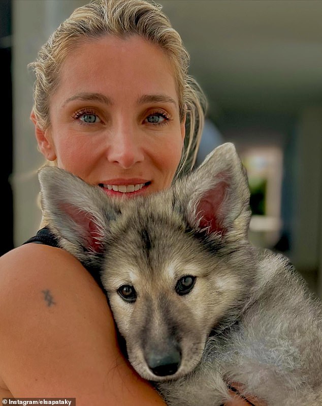 It comes after Elsa welcomed a new family member this month. The Spanish actress, 48, posted on Instagram the exciting news that she and Chris, 41, had a new dog