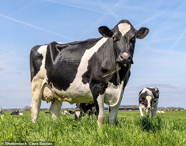 Anger: An open letter claiming to represent more than 160,000 family businesses and farms warned the changes would 'starve' the economy