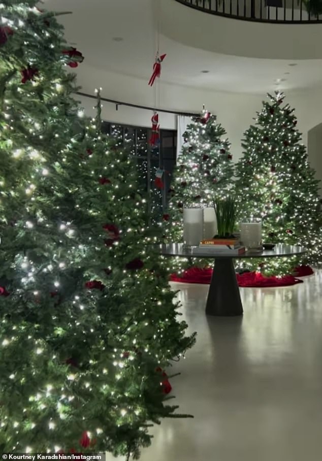 The star had decorated her trees with white lights everywhere