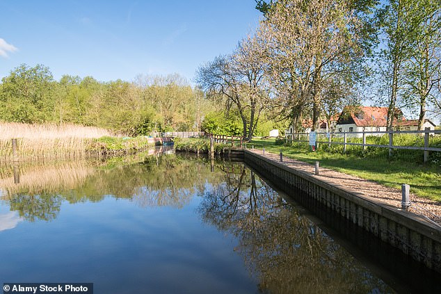 The River Waveney in Geldeston, Norfolk. As many as 85 percent of rivers tested in England were found to contain bee-killing pesticides