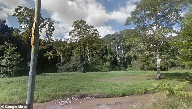 A huge tract of land that lay largely fallow for 75 years after being forgotten by its heirs is being auctioned