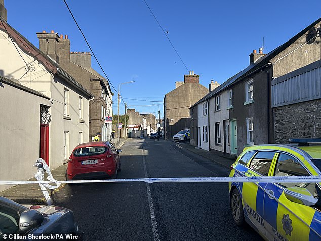 Garda at the scene in New Ross, Co Wexford, after a girl died following an attack on a house