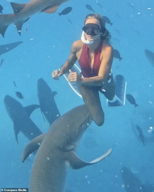 Travel influencer Lilian Tagliari was swimming among a group of 50 nurse sharks in the Maldives early last month when someone suddenly took a bite out of her right leg