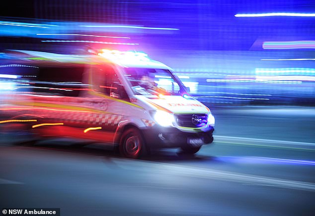 One cyclist, believed to be a child, was pronounced dead, while three others were rushed to hospital. The driver, who is in critical condition, is being treated at the scene (stock image)