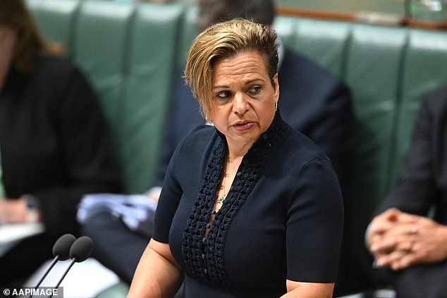 Federal Communications Minister Michelle Rowland (pictured) will impose a levy on social media platforms that profit from news content from January