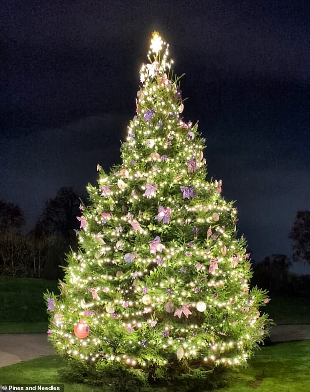 As a trusted supplier to Blenheim Palace, Kensington Palace Gardens (pictured) and this year's Royal Variety Performance, Pines and Needles are experts in royal decorations