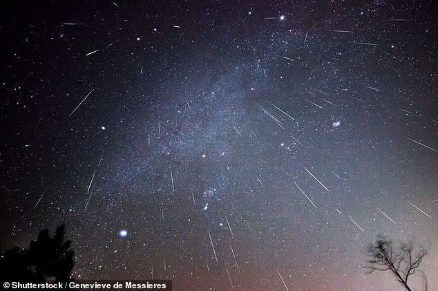 The spectacular Geminids meteor shower will reach its peak this Friday, producing up to 120 shooting stars per hour under perfect viewing conditions