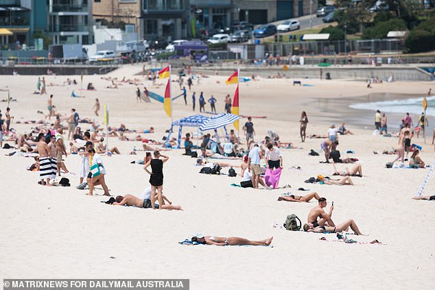 Ms Lucas said her family struggled to adapt to many things in Australia, including the cost of living, social life and distance from their family in Scotland (stock image)