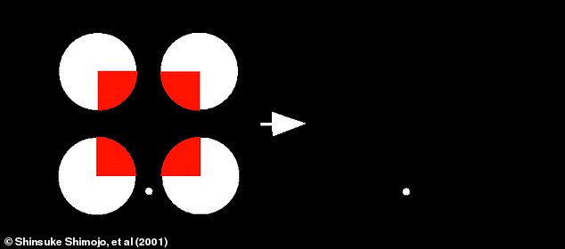 Scientists have discovered that optical illusions can also cause afterimages. If you stare at the white dot on the left, you should see that the space between the red corners fills in the gaps to make a complete square. If you look at the white dot on the right, that illusion also appears as an afterimage