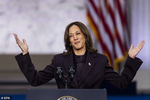 Warring Democratic factions are engaged in a 'knife fight' for control of the Party following Kamala Harris' humiliating election loss, political insiders say.