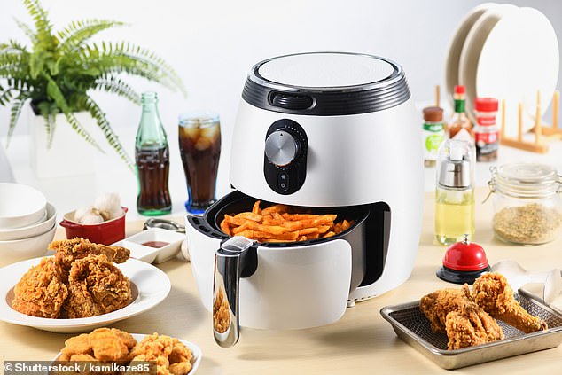 Britain's data watchdog plans new rules after shock study revealed how much information air fryers have collected (Stock Image)