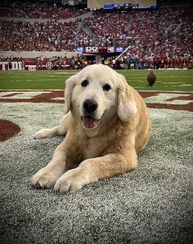 Kirk Herbstreit's late dog Ben died at the age of 10 after a battle with cancer