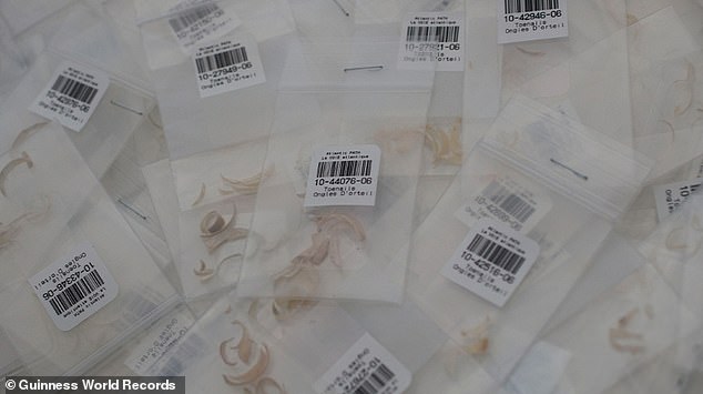 30,000 Canadians clipped their toenails, dug up the shards and placed them in clear bags to post