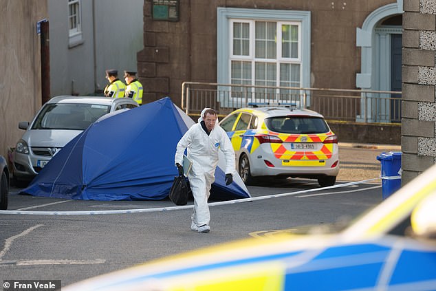 An eight-year-old schoolgirl has died after being 'stabbed' at a house in New Ross, County Wexford in Ireland