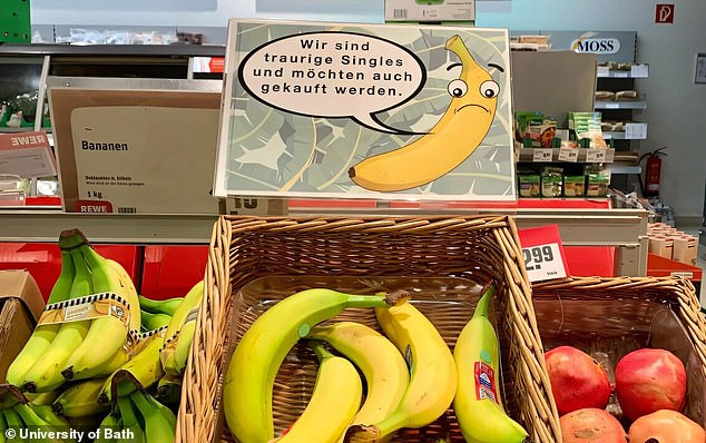 In the photo, 'sad' banana signs are placed above some bananas in an attempt to encourage shoppers to buy the fruit at a store in Germany. Translated from German, the banana sign reads: 'We are sad singles and would also like to be bought'