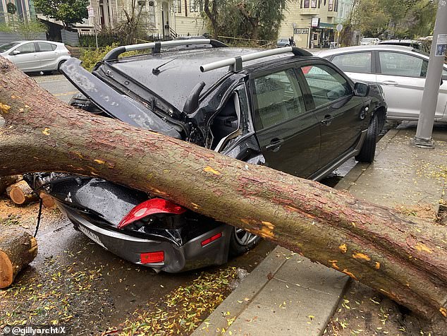 San Francisco was hit with its first-ever tornado warning after a devastating storm ripped through Northern California, flipping cars and downing power lines