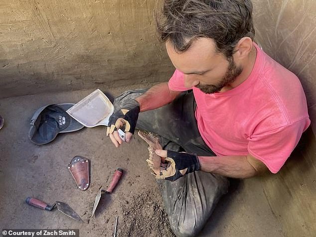 Above, an image of François Lanoë, an assistant research professor at the University of Arizona's School of Anthropology, after helping unearth the dog's 8,100-year-old jawbone in June 2023