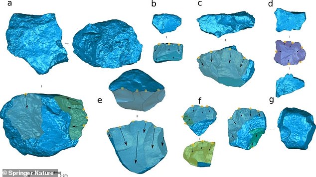 The way the tools were hammered, or shaped by hitting them with a stone, followed a common sequence, suggesting that these ancient people could use a mental model