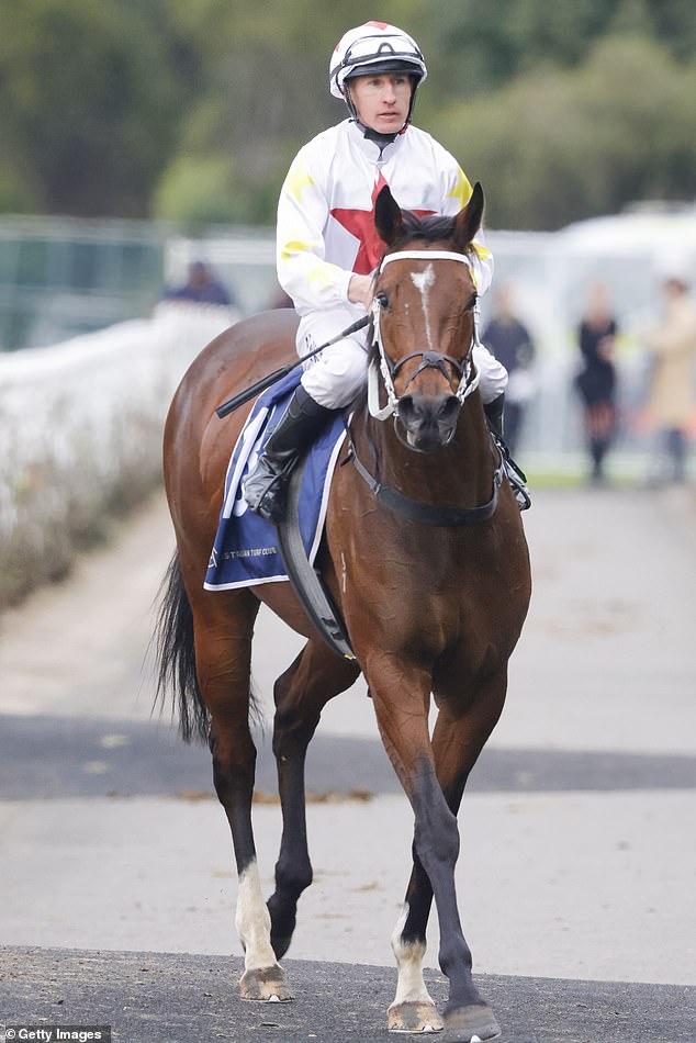 William Pike has been ruled out of this week's Ascot Racing Carnival after breaking his wrist