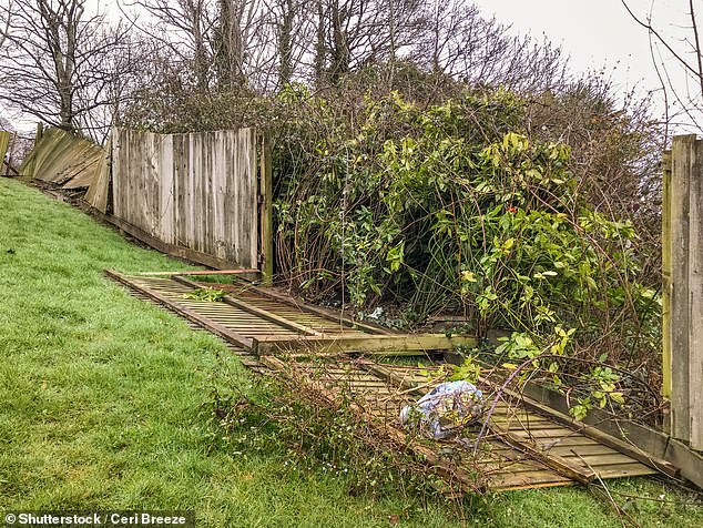 Fencing battle: Border fence repairs are a point of contention between many neighbors