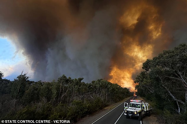 More than 55,000 hectares have been scorched as firefighters battled the blaze in recent days