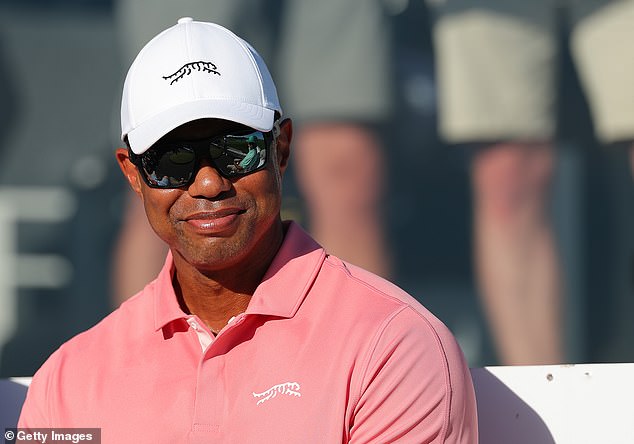 Woods (pictured at the Hero World Challenge) will compete in the competition in the new year