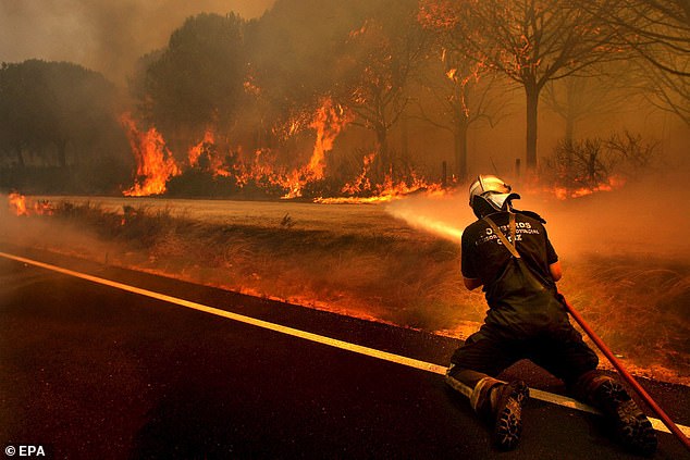 Pictured: A firefighter tries to extinguish a forest fire in a pine forest in the village of Conil de la Frontera in southern Spain