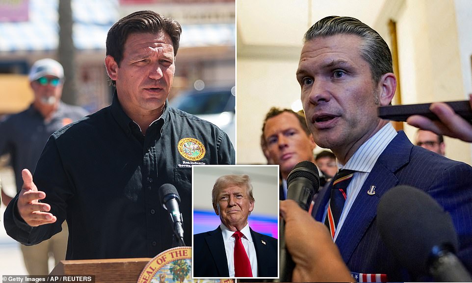 Florida Governor Ron DeSantis vowed to take on the 