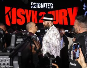 Usyk earnings vs fury