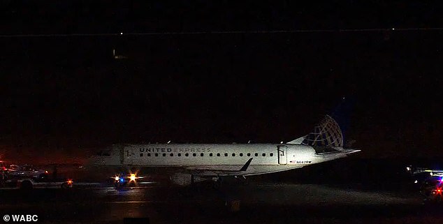 The Detroit-bound flight departed Newark Liberty Airport at 4:30 p.m. and landed again about 30 minutes later