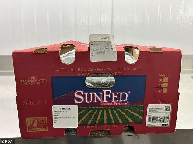 Cucumbers from SunFed, LLC (shown here) have been recalled from retailers in 26 states, the FDA said