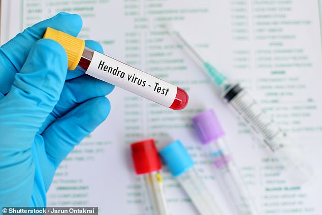 Samples of Hendra virus, Lyssavirus and Hantavirus went missing from Queensland's Public Health Virology Laboratory in August 2023 and have still not been found