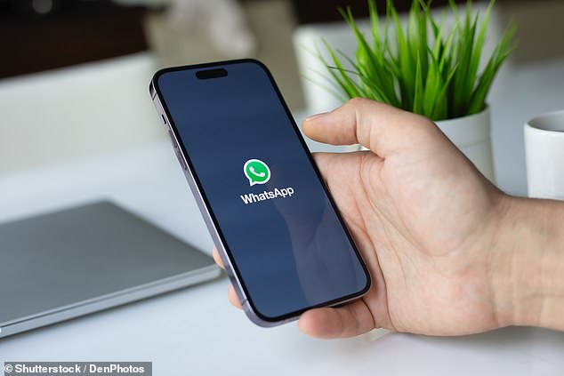 WhatsApp (above, on screen), Meta's internationally popular messaging and voice-over-IP calling service, will no longer be compatible with old iPhone 5s, 6 and 6 Plus devices next year. The announcement comes as the messaging app plans serious upgrades to its services by May 2025