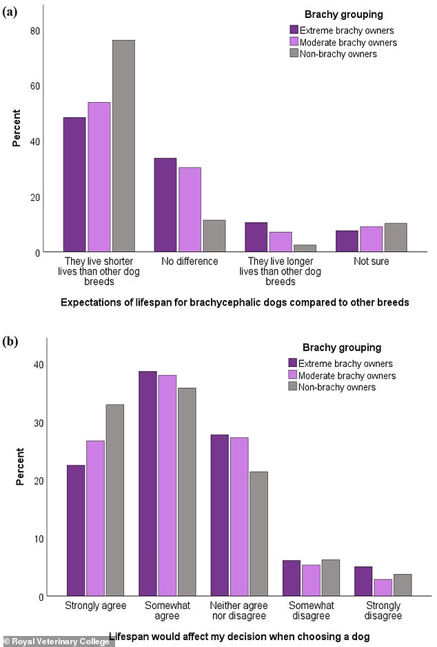 One in seven owners also reported that 'nothing' could stop them from owning a dog with an extremely flat face, especially those with a strong preference for flat faces and those who did not believe it shortened a dog's lifespan.