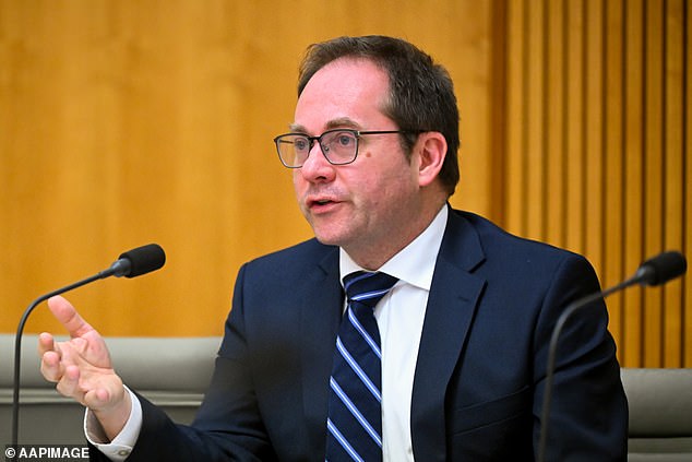 Labor MP Daniel Mulino (pictured) said Australia Day was in a 'transition period' and Australians should be free to treat the holiday differently on Wednesday