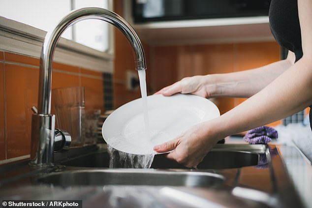 Contrary to popular belief, which one? says not to rinse your dishes before putting them in the dishwasher