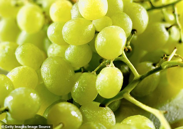 Eating 12 grapes under a table is a long-standing Spanish tradition that goes viral on social media every new year as it is believed it can help you find love