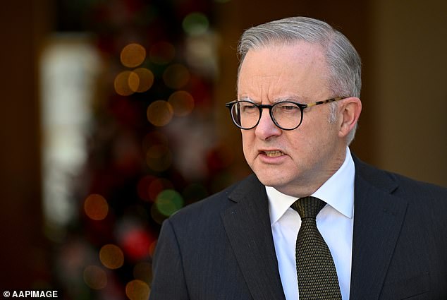 Prime Minister Anthony Albanese came under harsh criticism