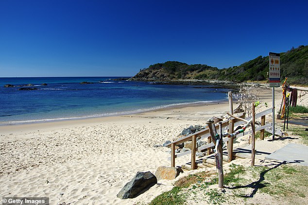 Regional beaches north of Sydney packed with visitors during the summer holidays (pictured shows Shelly Beach in Port Macquarie during a quieter time of year)