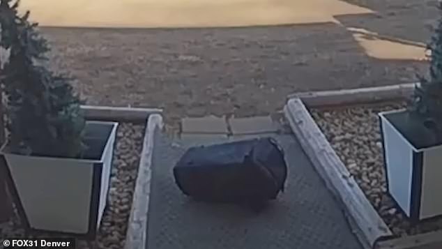 The dog was trapped in a black bag and was only discovered half an hour after it became stranded