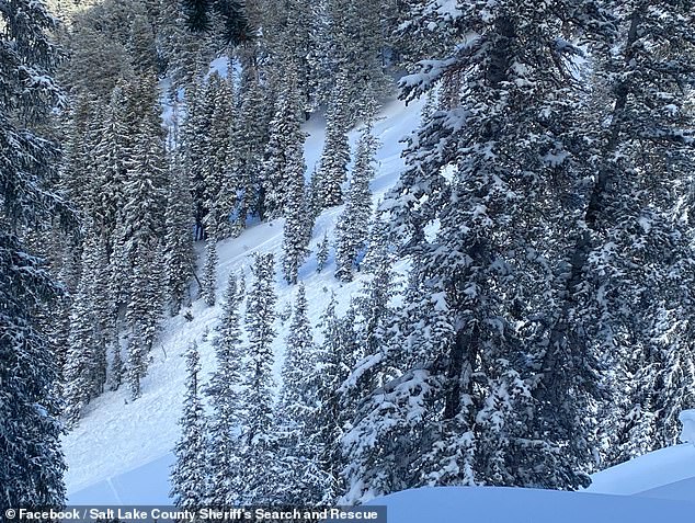 He was snowboarding in Millcreek Canyon and was found along the Porter Fork trail