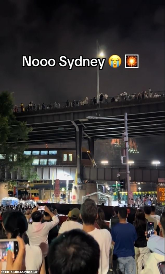 However, some partygoers had their view of Sydney's fireworks blocked when a train passed through Circular Quay train station