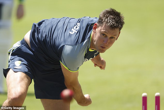 Beau Webster (pictured) has been the in-form all-rounder in the Sheffield Shield in recent seasons